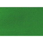 Папір гофрований 1Вересня зелений 110% (50см*200см)
