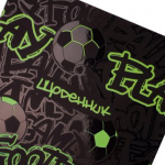 Щоденник шкільний YES інтегральний Play football, А5, 40 аркушів