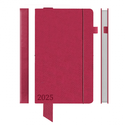 Щоденник 12х20cм дата  Leo Planner датований 2025 Monaco рожевий 352 стор