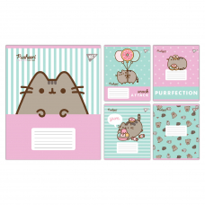 Зошит учнівський шкільний Yes Pusheen Candy А5 12 аркушів коса лінія