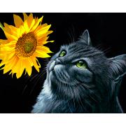 Алмазна мозаїка SANTI Кіт і соняшник, 40*50см на підрамнику